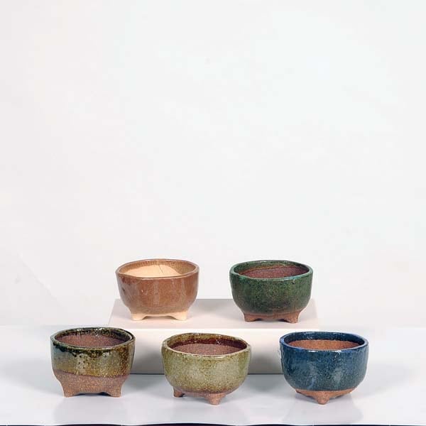 現代小鉢：祥石(二代目)ゆうき*【現品】丸鉢5点セット 8.5cm | 盆栽鉢 