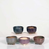 微ȭ()椦*ڸʡ۴ȭ5åȡ8.5cm