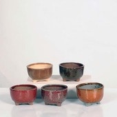 微ȭ()椦*ڸʡ۴ȭ5åȡ8.5cm