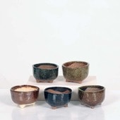 微ȭ()椦*ڸʡ۴ȭ5åȡ8.5cm