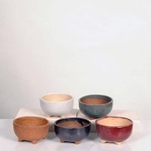 微ȭ()椦*ڸʡ۴ȭ5ġ11.5cm