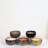 微ȭ()椦*ڸʡ۴ȭ5ġ11.5cm