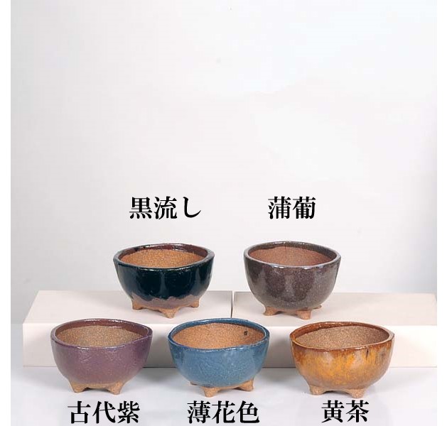 現代小鉢：祥石(二代目)ゆうき*中 丸鉢 3号 | すべての商品 | 遊恵盆栽