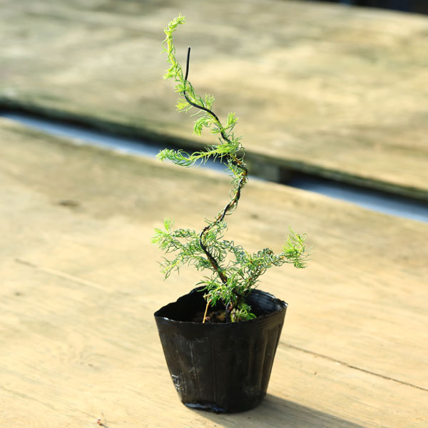 ������ ���ʡ��ߺ��ġ���ε�������ξ�*���������ξ�����ε�޿���ξ����������ȯ��