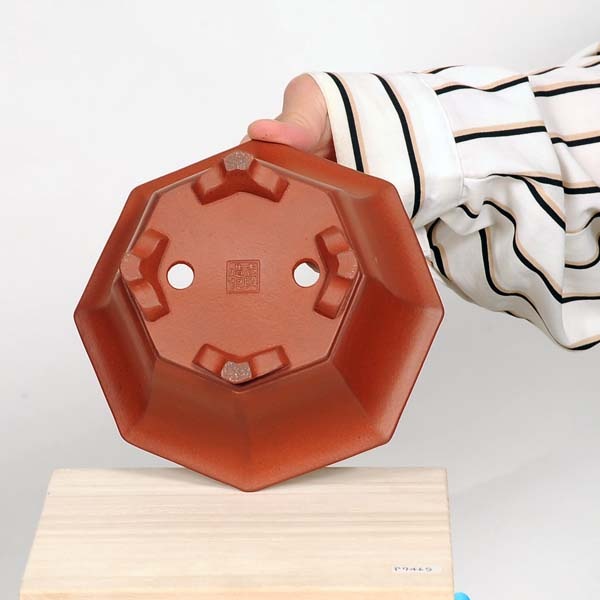 現代小鉢：壱興 八角鉢 15.8cm【現品】 | すべての商品 | 遊恵盆栽 本店