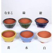 盆栽鉢・水盤,現代小鉢,燿山・英明 | 遊恵盆栽 本店