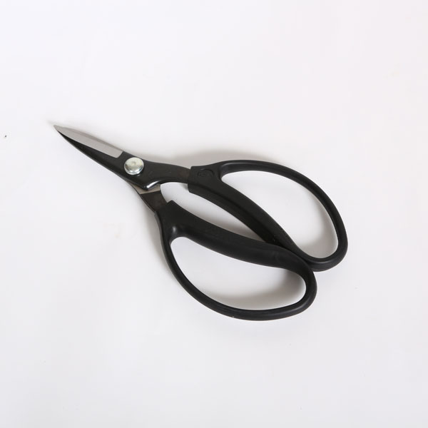 �ߺ�ƻ�񡧹񻺡����������200����