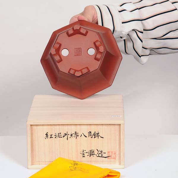 現代小鉢：壱興 紅泥外縁八角鉢 15.8cm【現品】 | すべての商品
