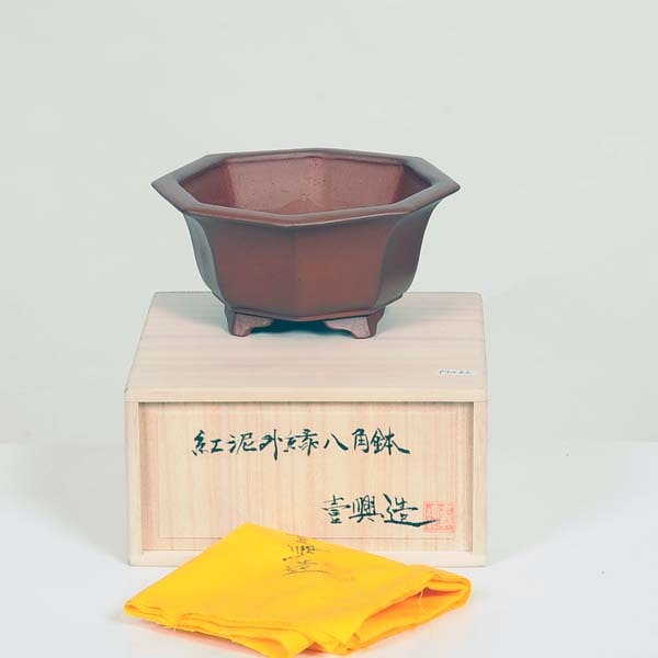 壱興　盆栽鉢　長方 0702144702_668394568a021.jpg