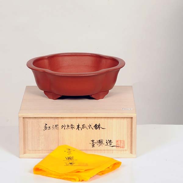 壱興　紅泥外縁雲足木瓜鉢 現代小鉢：壱興 紅泥外縁木瓜鉢 18.0cm【現品】 | すべての商品
