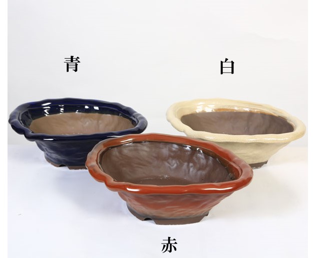 鉢：国産変形鉢 9号 * 鉢色お選びください 資材 | 盆栽鉢・水盤