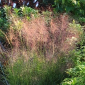 ���饹�����ڡ����ڡ��ġ��ߥ塼���٥륮��*�����ԥ�ꥹ��3���ݥå�