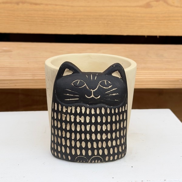 ねこ 猫 ネコ 鉢 ポット ガーデン雑貨：アフリカン キャットポット
