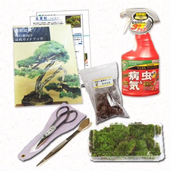 ち*ま様 盆栽道具セット 小品盆栽 盆栽道具7点セットを販売｜盆栽妙