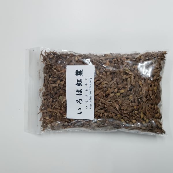 イロハモミジの種　約50g 遊恵盆栽：いろは紅葉種子【大容量】*（イロハモミジ/もみじ） | 盆栽
