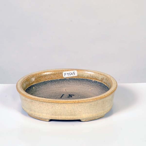 盆栽小鉢：真山（まざん）楕円鉢 13.7cm 【現品】 | すべての商品