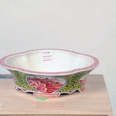 盆栽鉢・水盤,現代小鉢,月香 | 遊恵盆栽 本店