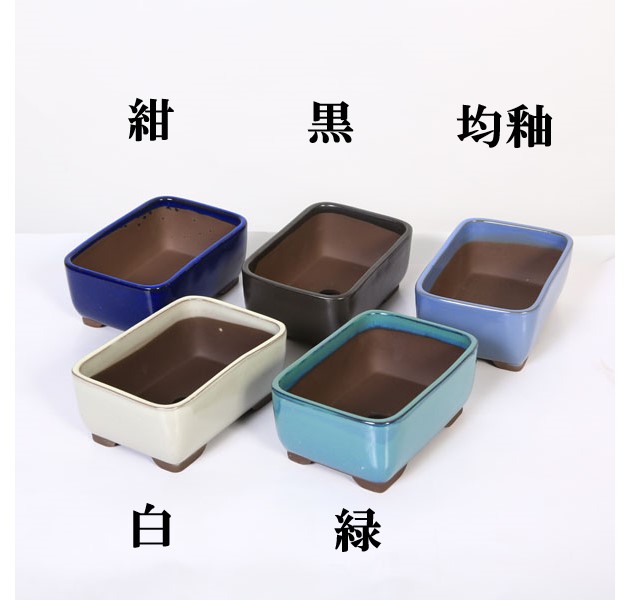 ȭ����Ĺ��ȭ��13.5cm*���