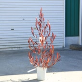 ����̵�������ڡ��ɥɥʥ����ʥݥåץ֥å���˥ץ�ץ쥢 ����80-100���