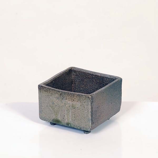 現代小鉢：柴勝 正方鉢*資材 7.6cm | すべての商品 | 遊恵盆栽 本店