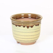 ȭ���߸ž���ή����ȭ 5��*���ӥ�ȭ ���