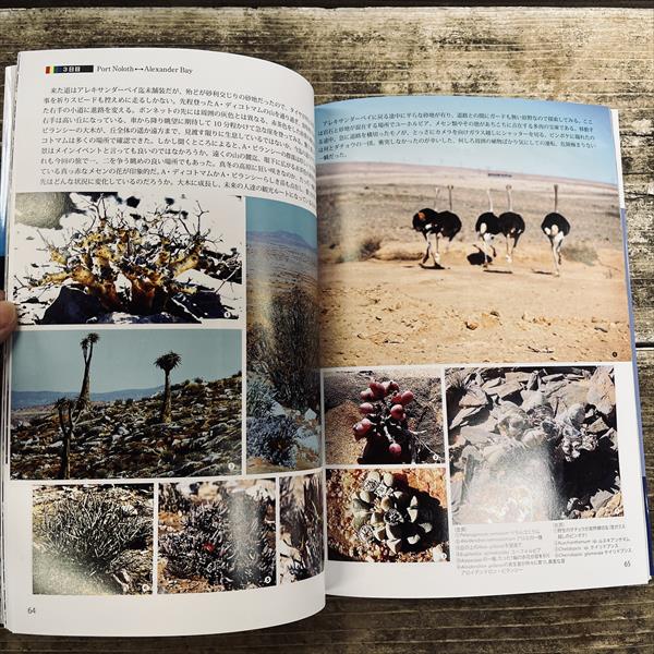 本：Cape plants・Ⅱ 南アフリカ多肉植物探索紀行* | サボテン