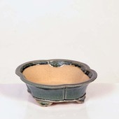 ���微ȭ���ƾ�����å�ȭ�ڸ��ʡ�*shibakatu��17.4cm