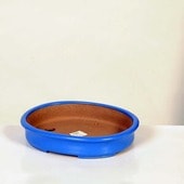 ���微ȭ���ƾ����ʱ�ȭ�ڸ��ʡ�*shibakatu��19.6cm