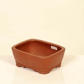 ���微ȭ���ƾ���Ĺ��ȭ�ڸ��ʡ�*shibakatu��12.7cm