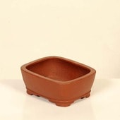 ���微ȭ���ƾ���Ĺ��ȭ�ڸ��ʡ�*shibakatu��12.8cm