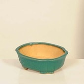 ���微ȭ���ƾ�����å�ȭ�ڸ��ʡ�*shibakatu��18.6cm