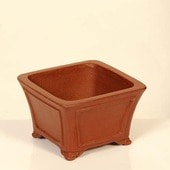 ���微ȭ���ƾ�����������ȭ�ڸ��ʡ�*shibakatu��11.5cm