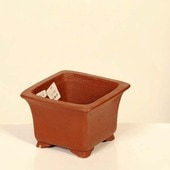 ���微ȭ���ƾ�����������ȭ�ڸ��ʡ�*shibakatu��9.5cm