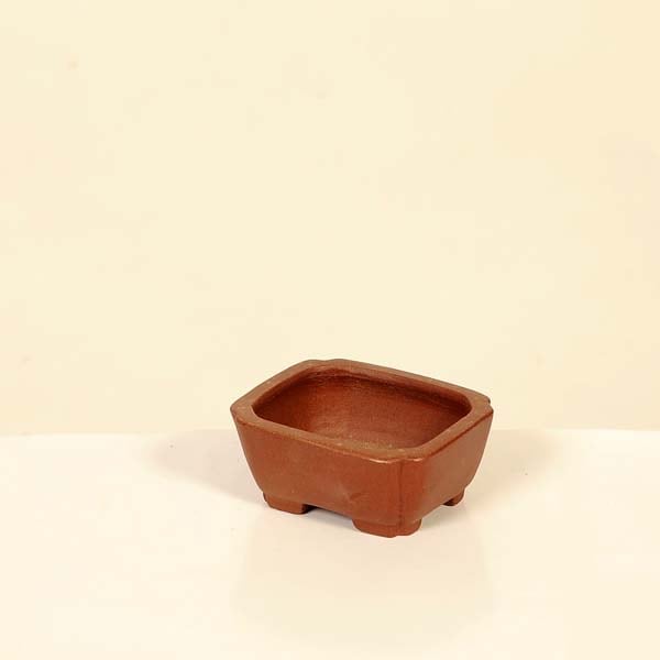 現代小鉢：柴勝 長方鉢【現品】*shibakatu 7.0cm | 新着商品,新入荷