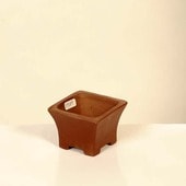 ���微ȭ���ƾ�����������ȭ�ڸ��ʡ�*shibakatu��6.4cm