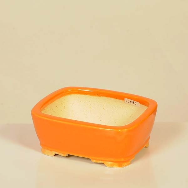 柴勝黄色長方鉢