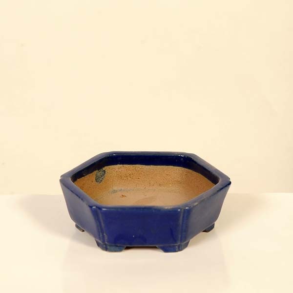 現代小鉢：柴勝 六角鉢【現品】*shibakatu 12.2cm | 新着商品,新入荷