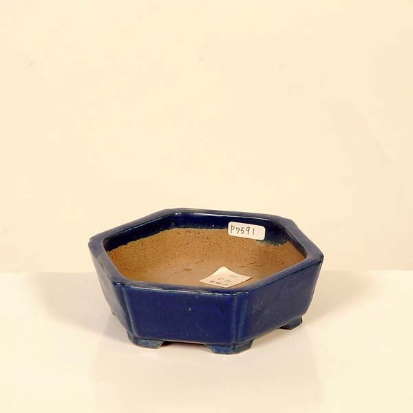 現代小鉢：柴勝 六角鉢【現品】*shibakatu 12.2cm | 新着商品,新入荷