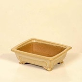 ���微ȭ���ƾ���Ĺ��ȭ�ڸ��ʡ�*shibakatu��13.2cm