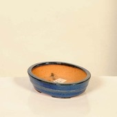 ���微ȭ���ƾ����ʱ����դ�ȭ�ڸ��ʡ�*shibakatu��12.8cm