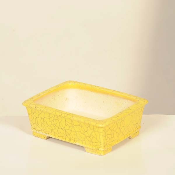 柴勝 長方 盆栽鉢 工芸品