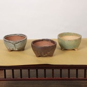 ȭ�����ھƴ�ȭ����ȭ��10��������߻�ƫ��*���