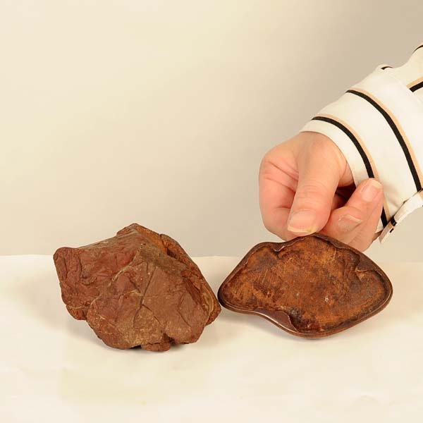 水石：加茂川畚下石 茅舎【現品】*資材カモガワフゴオロシ クズヤ