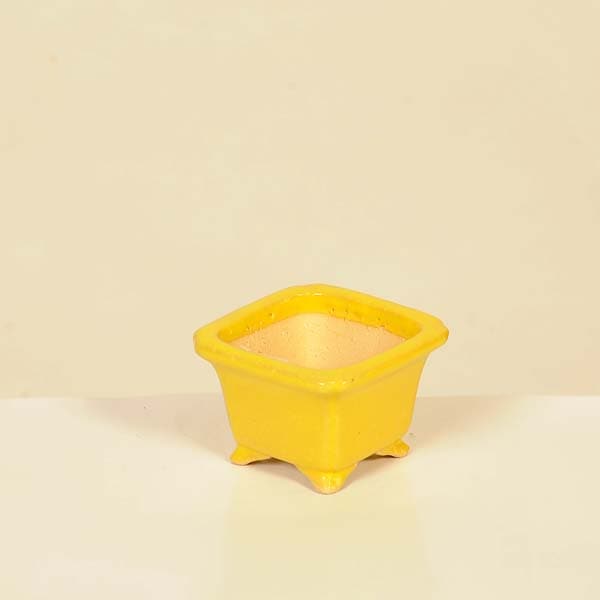 現代小鉢：柴勝 正方鉢【現品】*shibakatu 6.7cm | 新着商品,新入荷 鉢