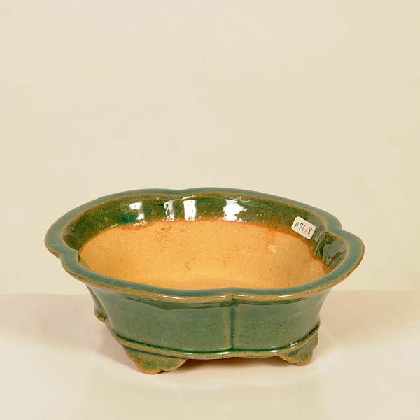 現代小鉢：柴勝 楕円ソリ鉢【現品】*shibakatu 17.6cm | 新着商品,新