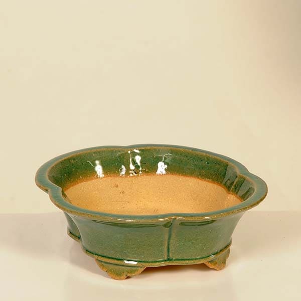 現代小鉢：柴勝 楕円ソリ鉢【現品】*shibakatu 17.6cm | 新着商品,新