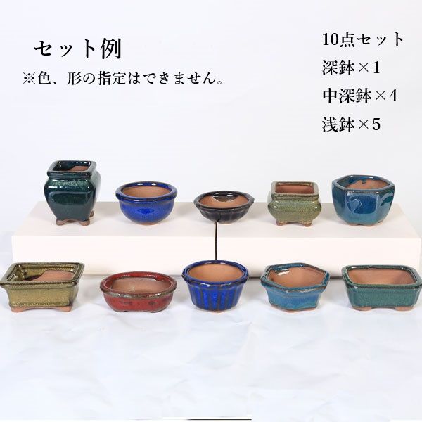 鉢：中国小鉢10点セット 2.5号-A | 盆栽鉢・水盤,お買い得小鉢