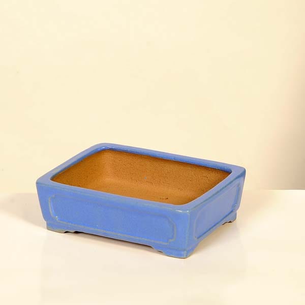 ���微ȭ���ƾ���Ĺ��ȭ�ڸ��ʡ�*shibakatu��15.5cm