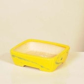 ���微ȭ���ƾ���Ĺ��ȭ�ڸ��ʡ�*shibakatu��16.3cm