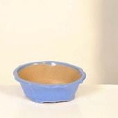 ���微ȭ���ƾ����ʱߥ�å�ȭ�ڸ��ʡ�*shibakatu��19.5cm